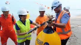 Proyek pembangunan Sistem Komunikasi Kabel Laut (SKKL) Australia-Indonesia-Singapura (foto : XL Axiata)