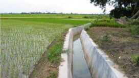 Ilustrasi irigasi. (Istimewa)