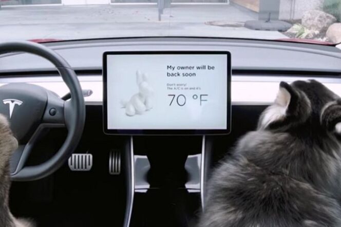 
					Tesla Motors Terapkan Teknologi Mode Anjing Pertama