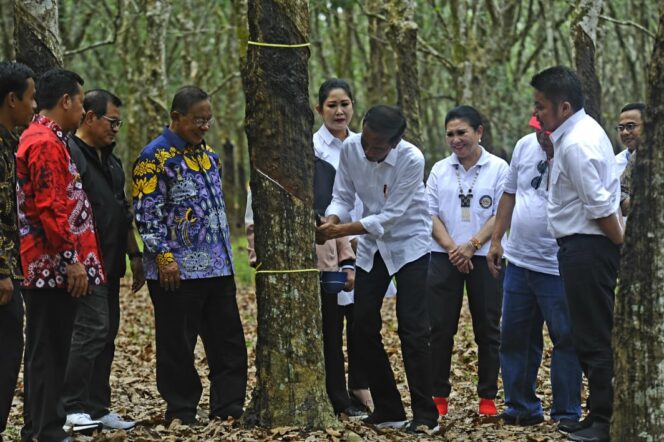 
					Pemerintah Bakal Lakukan Tiga Cara Ini Guna Tingkatkan Harga Karet di Petani