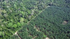 ilustrasi (foto : Kumpran)