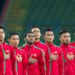 Timnas Indonesia  (foto : net)
