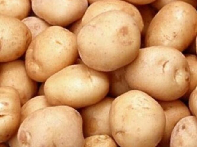 
					Hanya Dalam Waktu 3 Hari 2 Kg Lemak Mu Berkurang, Kentang Dapat Membantu Mu