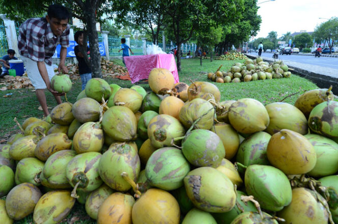 
					Berkah Ramadan, Penjual Dogan Raup 400 Ribu Perhari