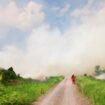 Kebakaran Lahan di Ogan Ilir. (Foto: Istimewa)