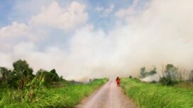 Kebakaran Lahan di Ogan Ilir. (Foto: Istimewa)