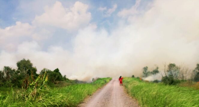 
					Kebakaran Lahan di Ogan Ilir. (Foto: Istimewa)