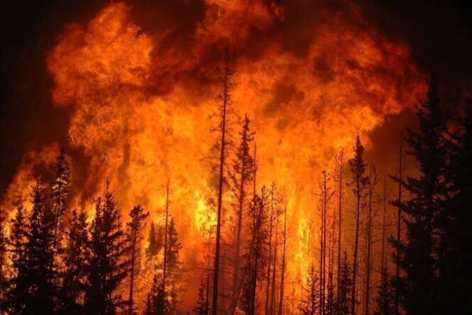 
					244 Hot Spot Terdeteksi di Sumsel