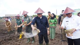 Gubernur Sumsel Herman Deru  saat menanam tanaman perdana Padi IP 300 dalam program Serasi tahun 2019  di Sumatera Selatan yang dipusatkan di kawasan Jalur II desa Sebubus Kecamatan Air Kumbang Kabupaten Banyuasin, Senin (1/7).  (Foto: Istimewa)