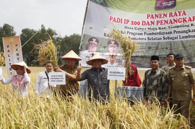 
					Herman Deru Yakin Sumsel Kembali Menjadi Lumbung Pangan Nasional
