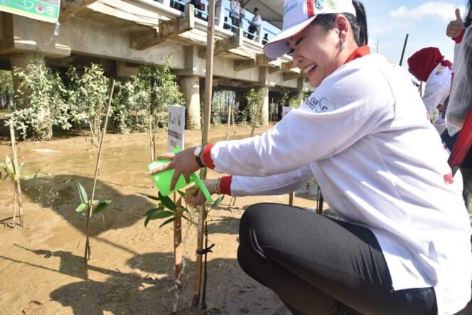 
5000 Bibit Mangrove Ditanam di Pelabuhan Tanjung Api-api
