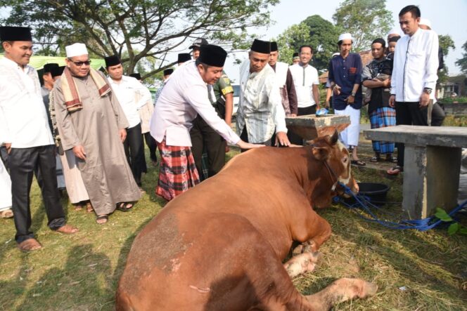 
					Maknai Idul Adha, Herman Deru Ajak Warga Sumsel Senang Berbagi