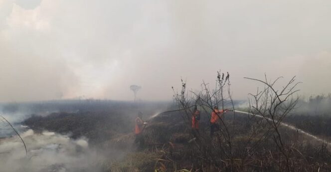 
					Lahan Terbakar di Ogan Ilir Milik Mantan Pejabat
