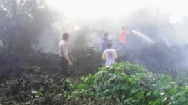 Tim Satgas Karhutla saat memadamkan kebakaran lahan di Musi Banyuasin