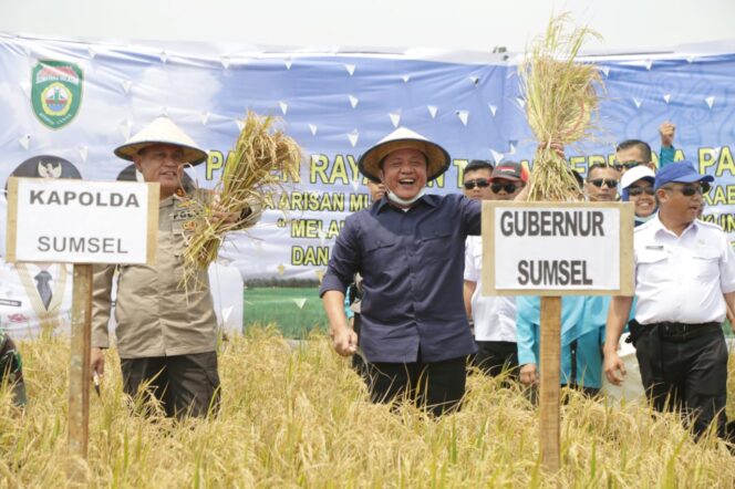 
					Gubernur Sumsel Lakukan Panen Raya dan Tanam Perdana Padi IP 200