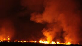 Ilustrasi Karhutla. Foto : Istimewa