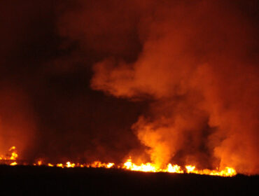 Ilustrasi Karhutla. Foto : Istimewa