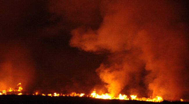 Ilustrasi Karhutla. Foto : Istimewa