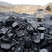 Ilustrasi batu bara. Foto : Istimewa