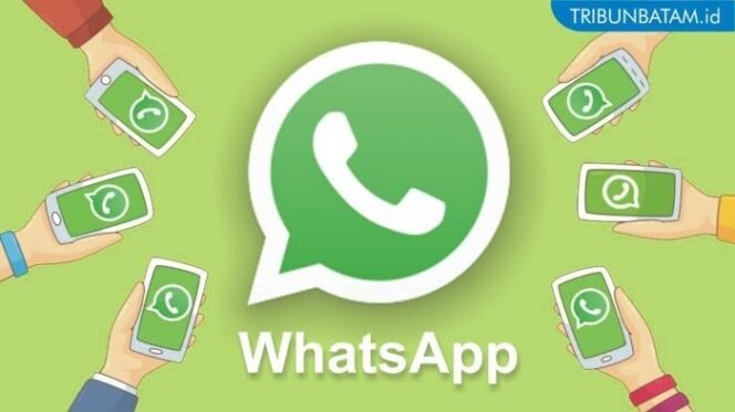 
Bisa Lacak Orang yang Melihat Profil Whatsapp Anda