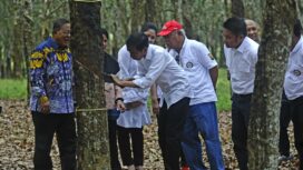 Presiden Jokowi bersama Gubernur Sumsel Herman Deru menghadiri Acara Silaturahmi Petani Karet, di Balai Pusat Penelitian Karet Sembawa Kabupaten Banyuasin (Dok Humas Pemprov Sumsel)