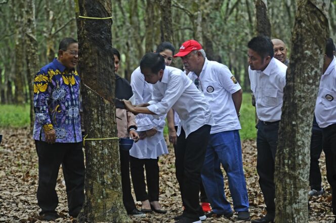 
					Presiden Jokowi bersama Gubernur Sumsel Herman Deru menghadiri Acara Silaturahmi Petani Karet, di Balai Pusat Penelitian Karet Sembawa Kabupaten Banyuasin (Dok Humas Pemprov Sumsel)


