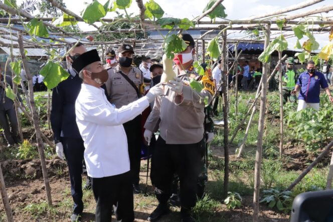 
Sekretaris Daerah Muba Apriyadi Melihat Aktifitas Kampung Tangguh Tangkal Covid-19 di Muba
