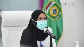 Ahli Epidemiologi Sumsel Dr. Iche Andriani Liberty (Dok. Humas Pemprov Sumsel)