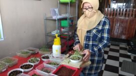 pengusaha micro green di Palembang, Lidwina Ninik (Dok. Urban Id)
