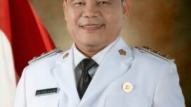 Bupati Ogan Ilir Ilyas Panji Alam (Istimewa)