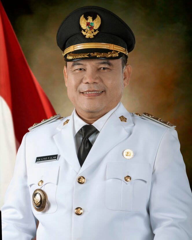 
Bupati Ogan Ilir Ilyas Panji Alam (Istimewa)