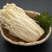 Jamur Enoki (Foto : Istimewa)