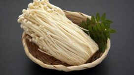 Jamur Enoki (Foto : Istimewa)