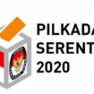 Pilkada 2020 (Foto : istimewa)