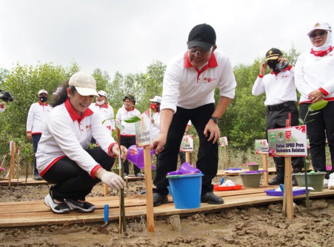 
Herman Deru :Taman Wisata Mangrove Sumsel Siap Saingi Bali