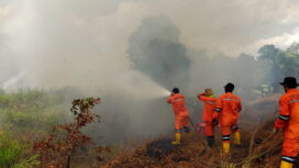 Tim satgas lakukan pemadaman api di lahan (Dok. BPBD Sumsel)