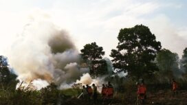 Suasana Tim Satgas Padamkan Api di Lahan Ogan Ilir Sumsel (Dok. Urban)