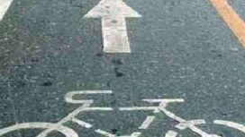 jalur pengedara sepeda (Dok. Istimewa)