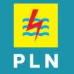 PLN (Dok. Istimewa)
