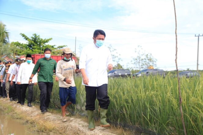
					Herman Deru Resmikan Program Listrik Masuk Sawah di OKU Timur