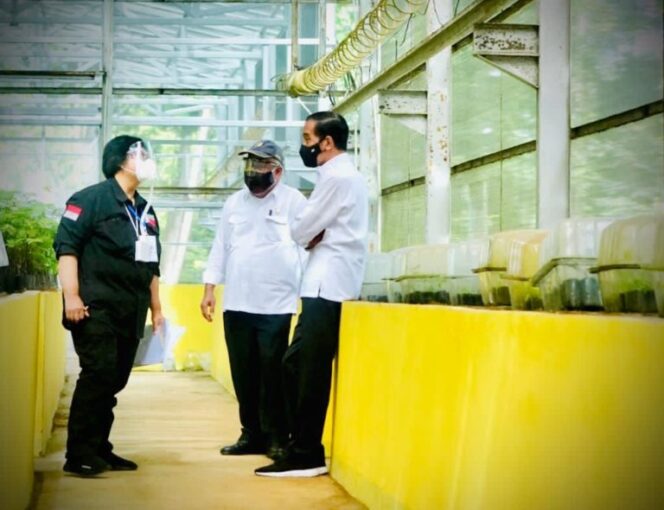 
Presiden Jokowi Tinjau Lokasi Pembangunan Pusat Perbenihan untuk Atasi Bencana Ekologis