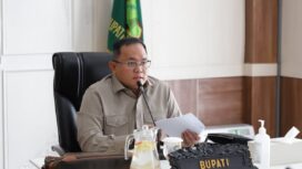 Bupati Muba Dodi Reza Alex (Dok. Humas Muba)