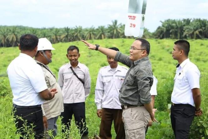 
					Muba Berdayakan Petani Sawit Melalui Hilirisasi Energi Sawit