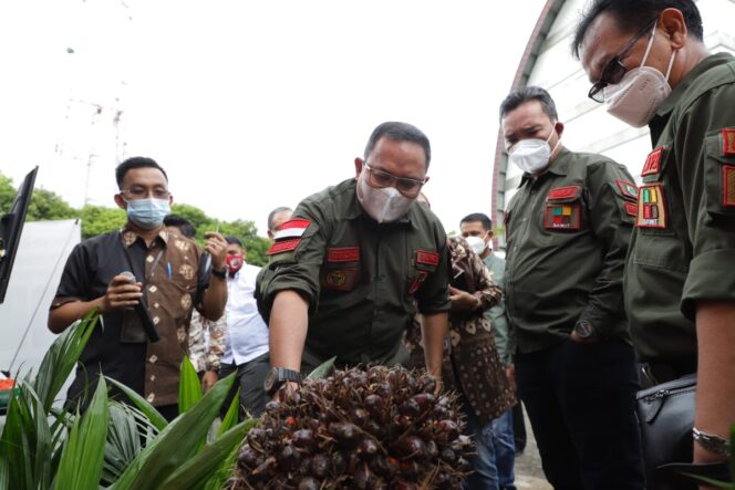 
Canggih! Lelang Karet di Muba Bisa Secara Online