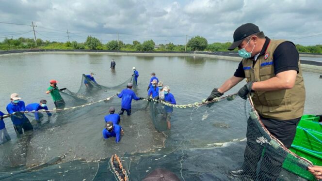 
Herman Deru Wujudkan Impian Petambak Udang Sungai Menang OKI Dengan Program Listrik Masuk Tambak