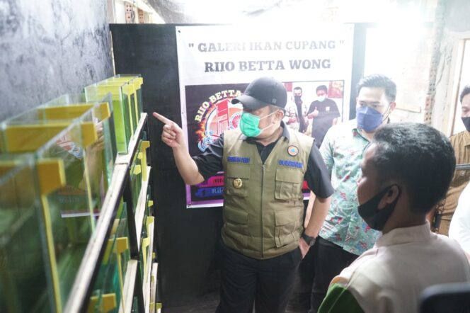 
					Herman Deru Semangati Peternak Ikan Cupang Agar Tak Menyerah dengan Pandemi