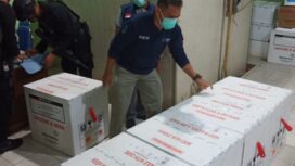 Suasana para petugas Dinkes Sumsel menyusun Vaksin Sinovac (Dok. Dinkes Sumsel) 