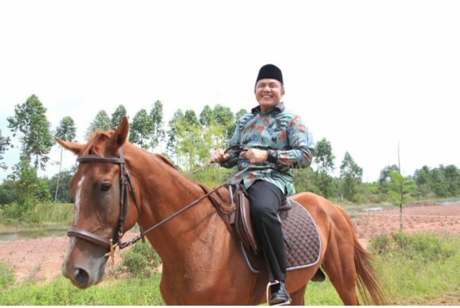 
					Gubernur Sumsel Herman Deru 
