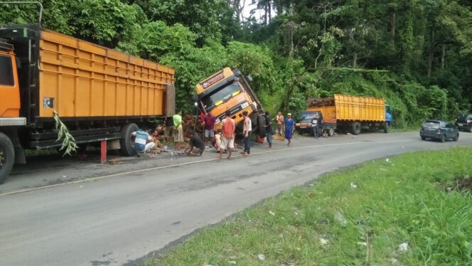 
					Teks Foto: Terlihat kondisi kendaraan trukc fuso yang bermuatan sawit. Yang terperosok di pinggir Jalinsumteng. (Foto Istimewa)