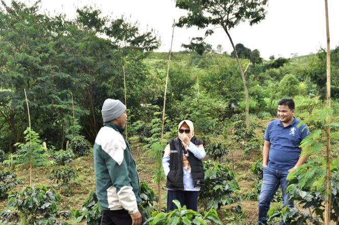 
					Tim CSR dan Humas PT Bukit Asam (PTBA) Tbk Saat Melihat Kebun Kopi Semendo (Foto : Istimewa) 